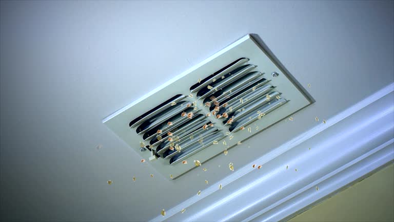 Best Emergency Air Duct Cleaning  in Massanutten, VA